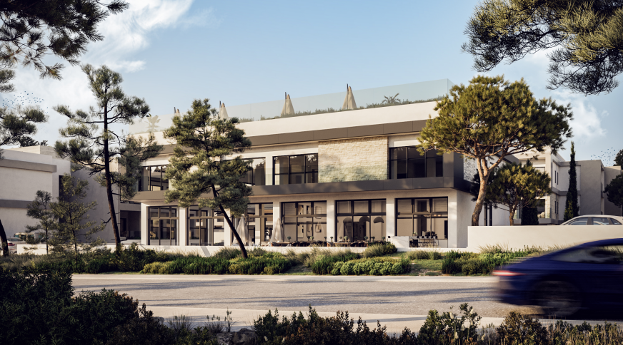 section catalog photo